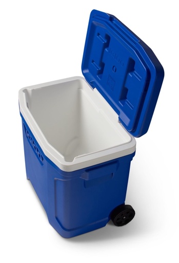 IGLOO - PROFILE II 28 ROLLER - MAJ BLU.WHT.MAJ BLU.BLK