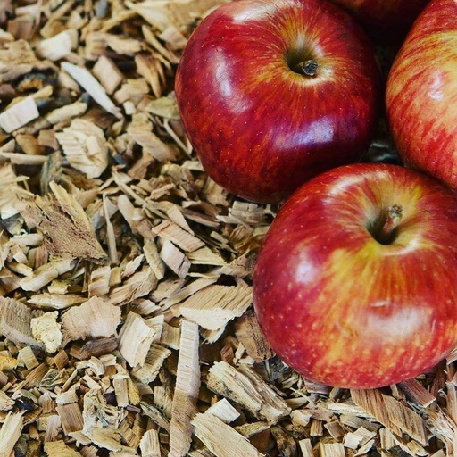 ProQ Smoking Wood Chips - Apple - Bag (400g)