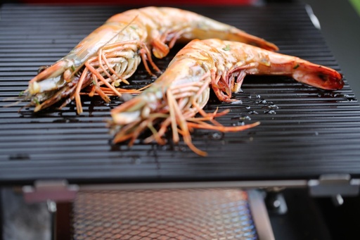 OutdoorChef - BLAZING GLASS OUTDOORCHEF