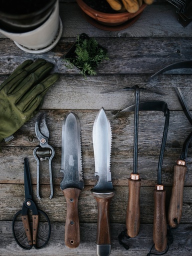 BareBones - Small Scissor - Walnut
