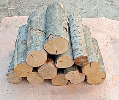 Bad Axe Firewood - Round Logs