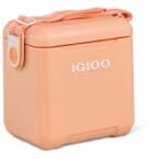 TAG-A-LONG TOO 11, PASSIVE Apricot - EDC
